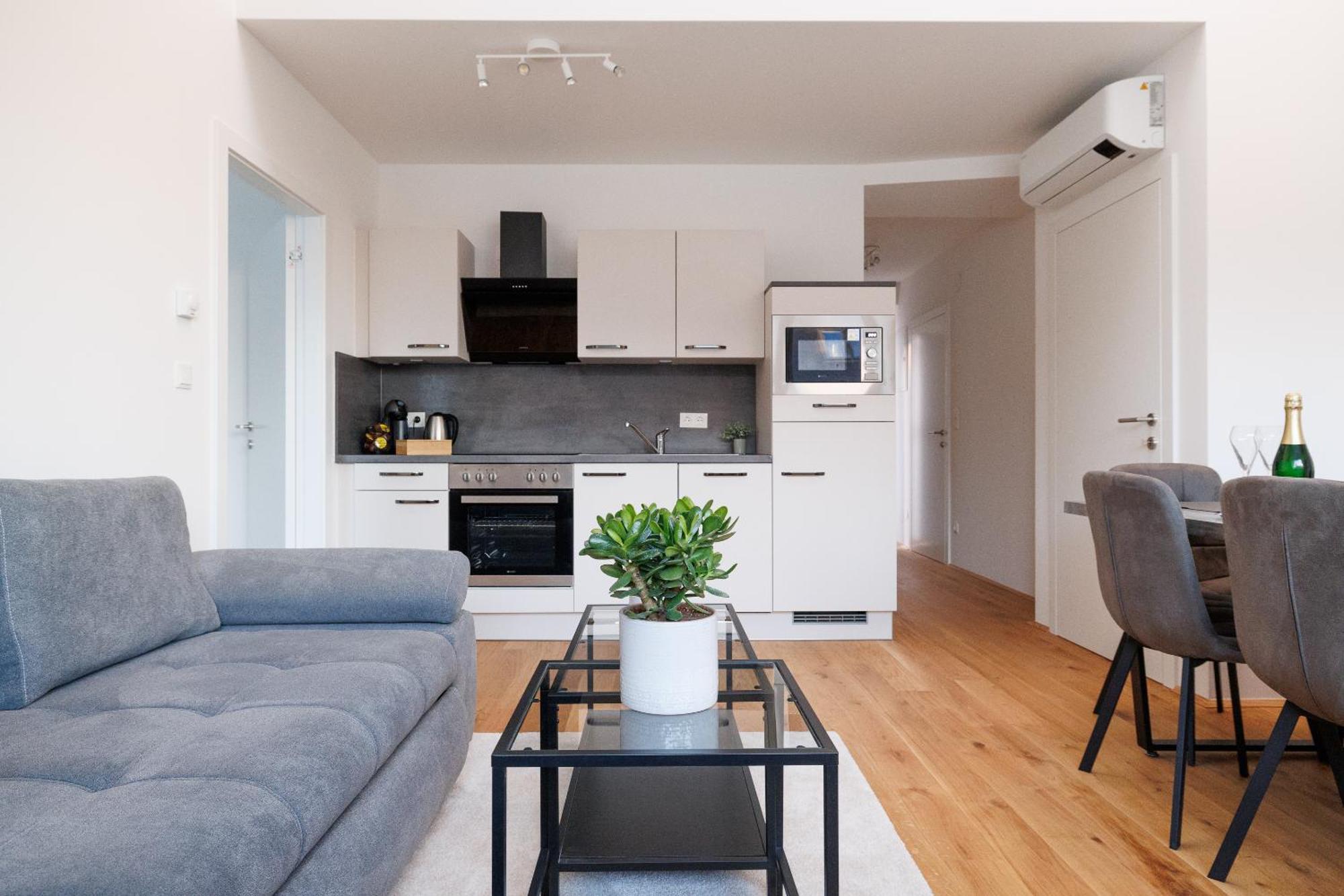 Apartament Symphony 41 - Modern Loft With Terrace And Grill In Location Viena