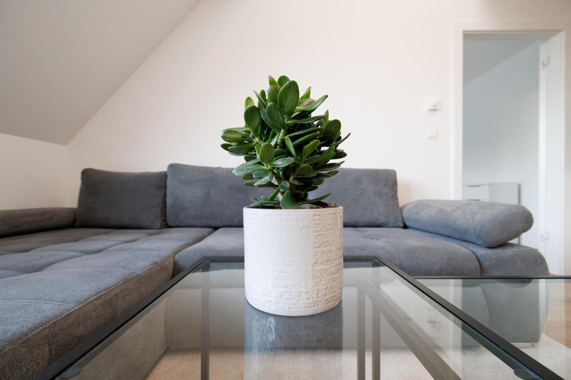 Symphony 41 - Modern Loft With Terrace And Grill In Location Apartamento Viena
